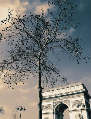 ARC DE TRIOMPHE II - PARIS