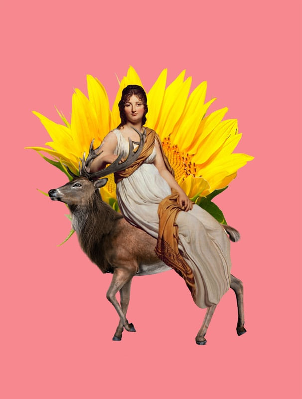 DIA DE CAÇA