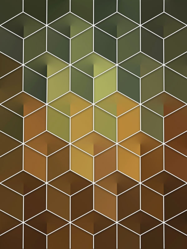AMAZON CUBES