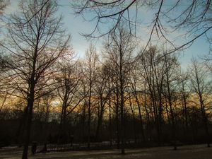 WINTER IN BERLIN