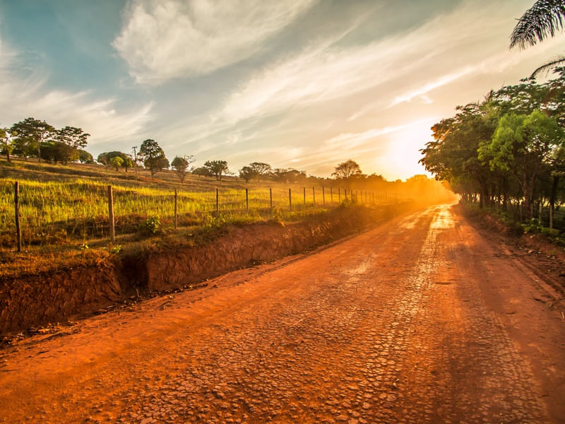 ESTRADA PARA BICHINHOS