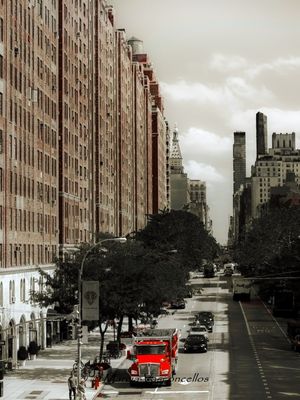 URBANO SEPIA8