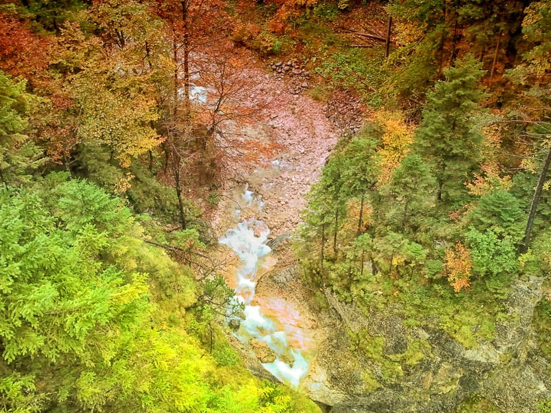 FLORESTA ALTA PARTE 1