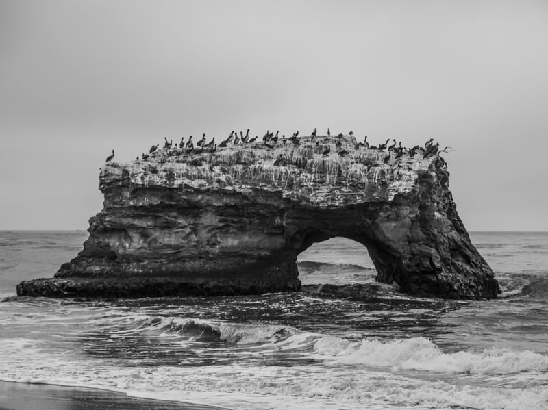 STA. CRUZ CA