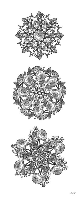 CICLO FLORAL