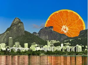 VITAMINA C NA LAGOA