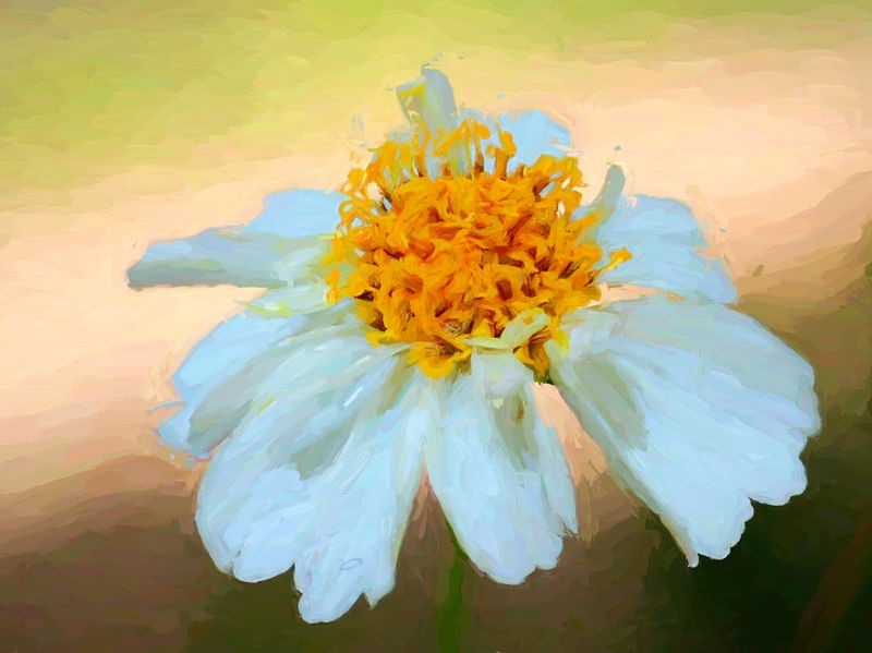 FLOR BRANCA MONET