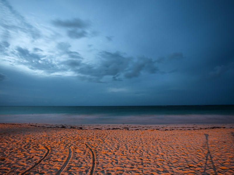 A PRAIA NO INICIO DA NOITE X