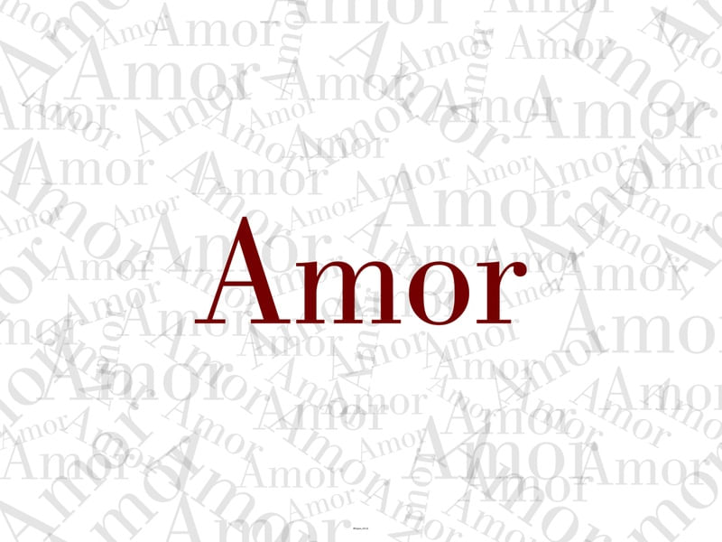 AMOR - SPLP
