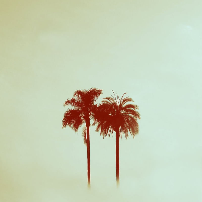 KOK SUMMER