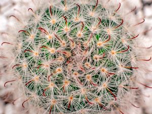 ESPIRAL DA NATUREZA