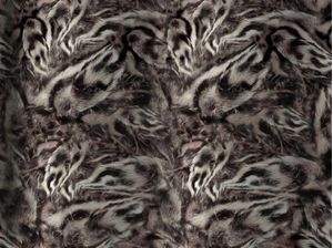 DARK TIGER