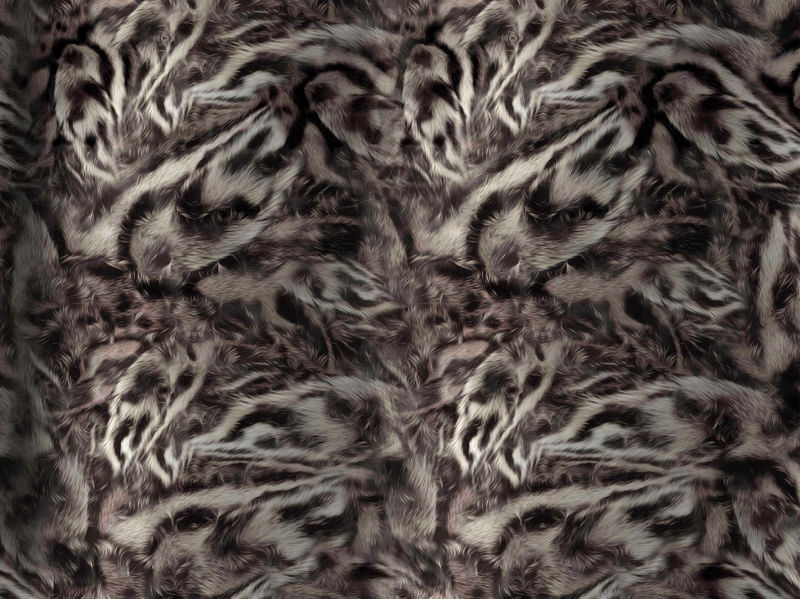 DARK TIGER
