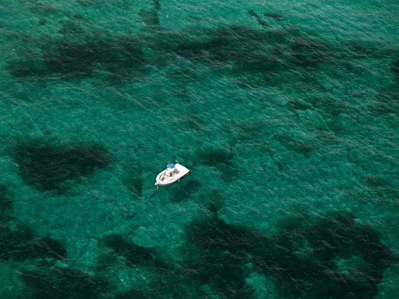 O BARCO BRANCO NO MAR VERDE
