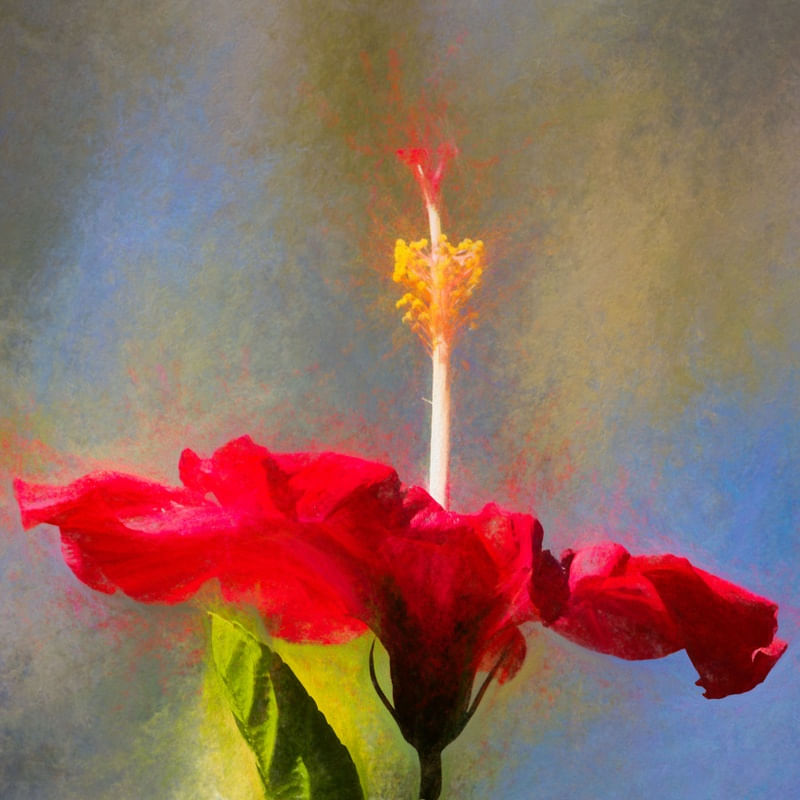 FLOR DE HIBISCO MONET