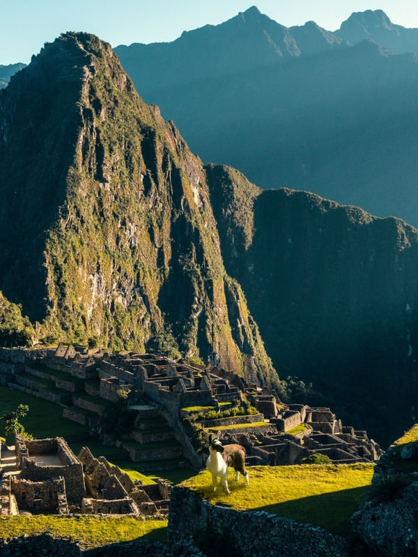 MANHÂ EM MACHU PICCHU