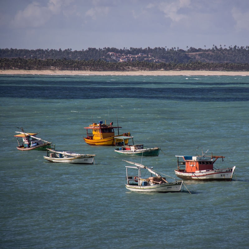 BARCOS EM BAIA FORMOSA