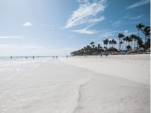 O VERÃO X