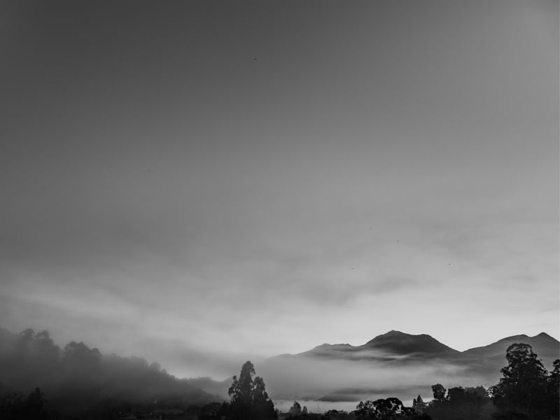 TERRAS ALTAS - MANTIQUEIRA