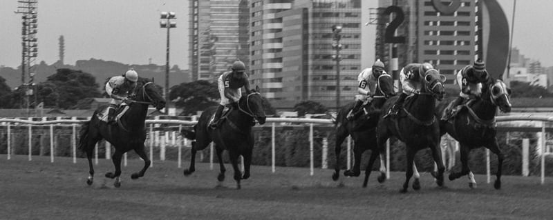JÓQUEI - 5