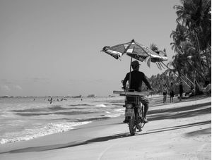A VIDA NO LITORAL