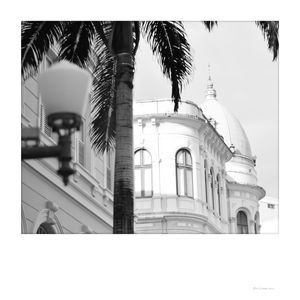 POLAROID RECIFE 11