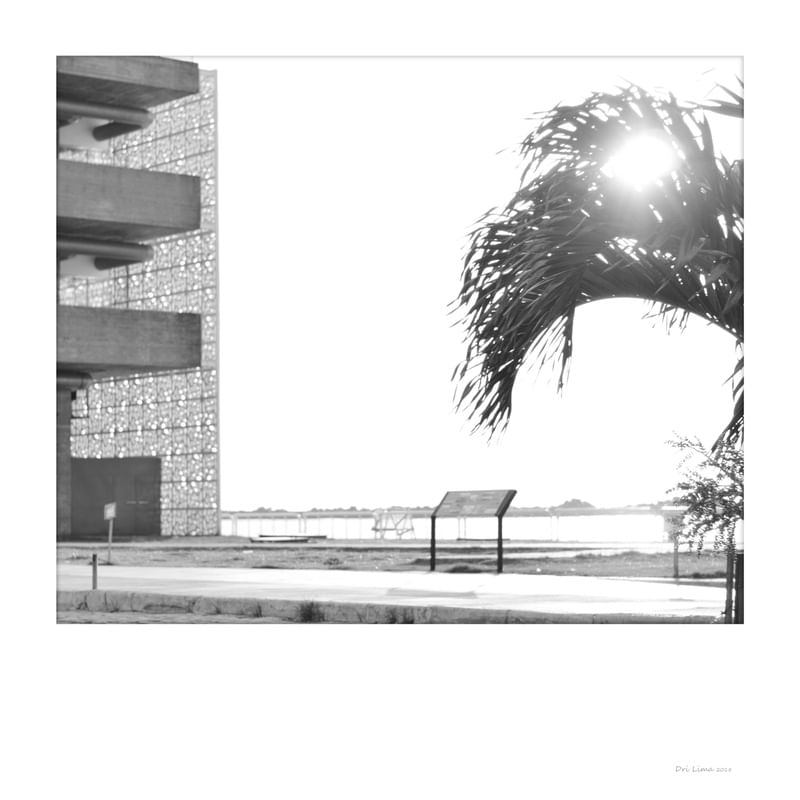 POLAROID RECIFE 12