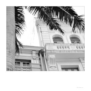 POLAROID RECIFE 15