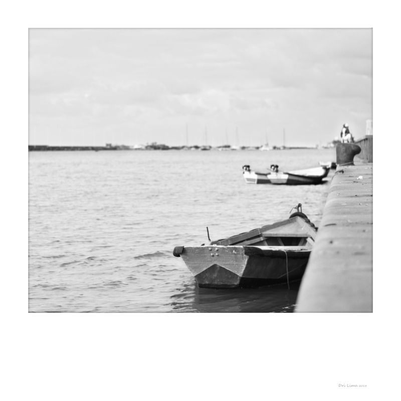 POLAROID RECIFE 16