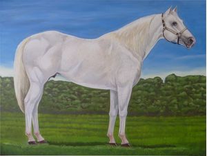 QUARTO DE MILHA BRANCO
