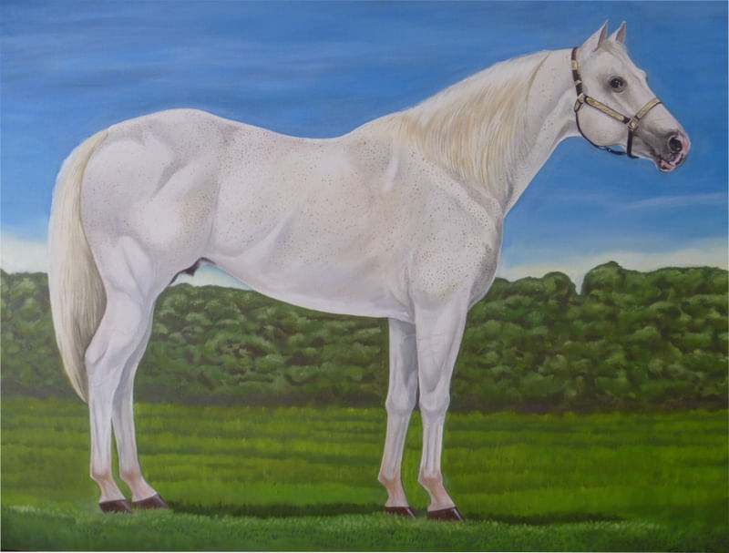 QUARTO DE MILHA BRANCO