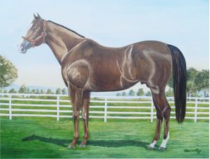 HORSE DASH CASH