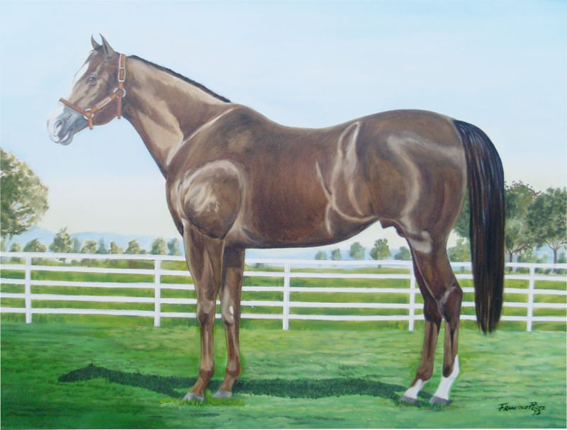 HORSE DASH CASH