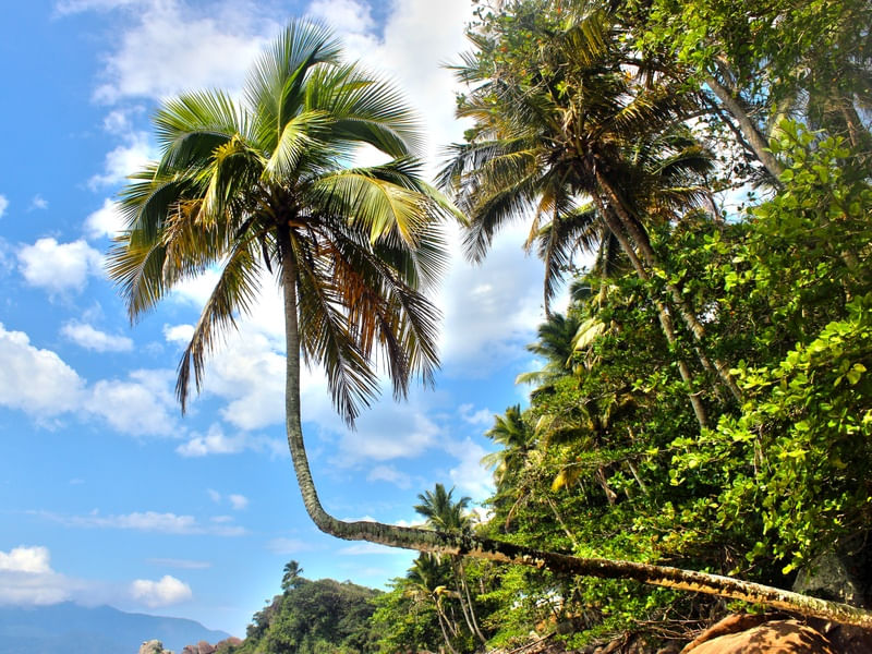 AVENTUREIRO 8