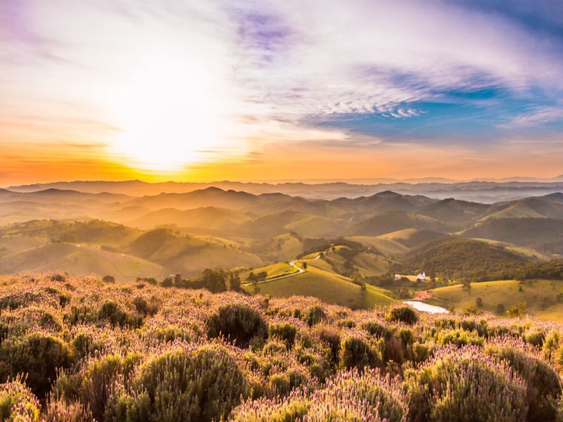 LAVANDÁRIO SUNSET