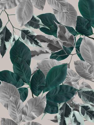 FOLHAGENS CINZA E VERDE I