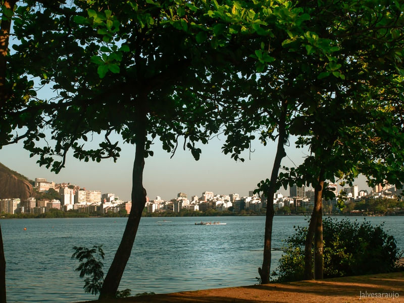 REMANDO NA LAGOA