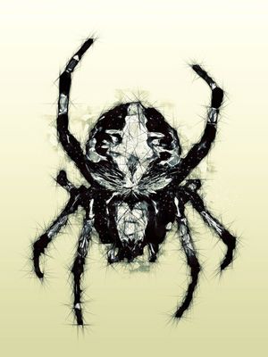 SPIDER X