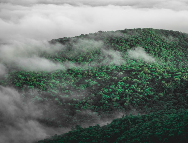 AMANHECER MORRO DO ANHANGAVA