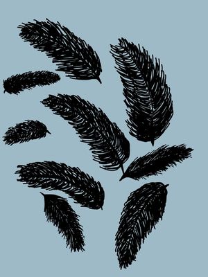 BLUE BLACK FEATHERS
