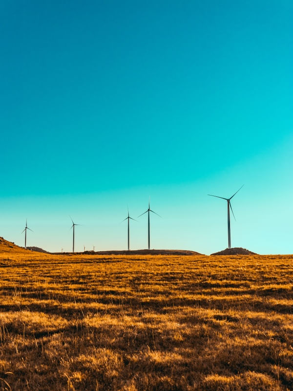 CÉU AZUL E CAMPOS DOURADOS EM BOM JARDIM DA SERRA