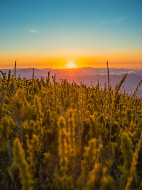NASCER DO SOL NO PICO CARATUVA 01