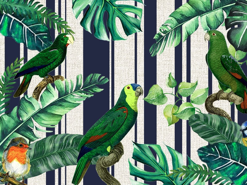 EFEITO TROPICAL