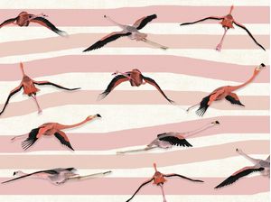 PINK FLYING