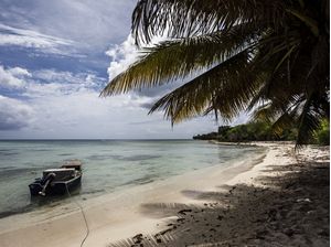 O COQUEIRAL E O MAR XXI