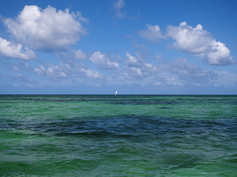 O VELEIRO E O MAR XXV