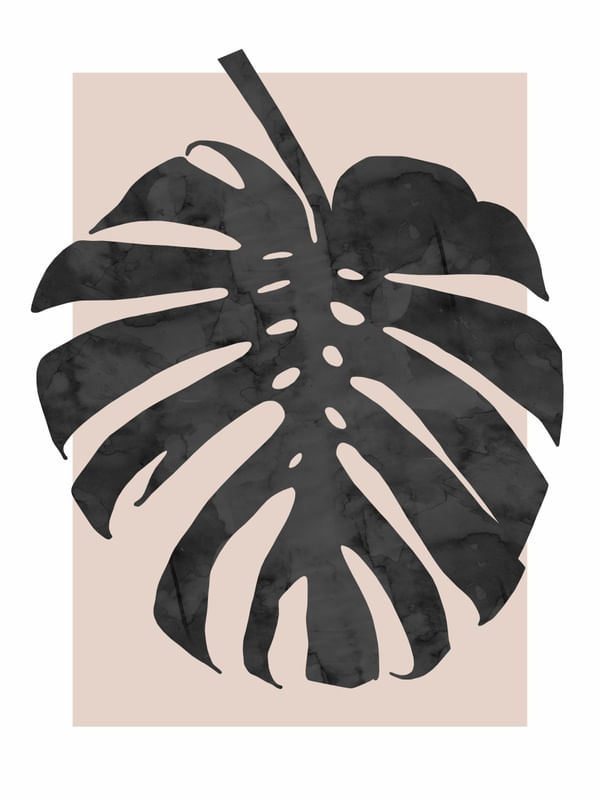 FOLHA TROPICAL E ROSA I