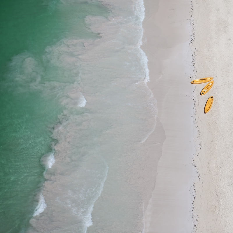 OS CAIAQUES AMARELOS NO MAR ESVERDEADO
