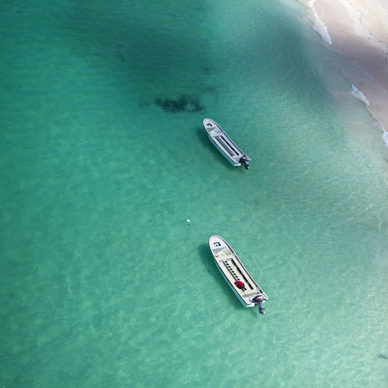 OS DOIS BARCOS II