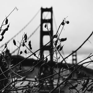 GOLDEN GATE SEASONS 1